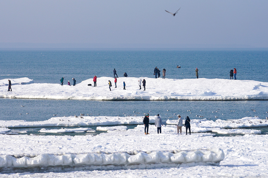 В Калининградской области массово гуляют по морскому льду, несмотря на запрет МЧС (фото)