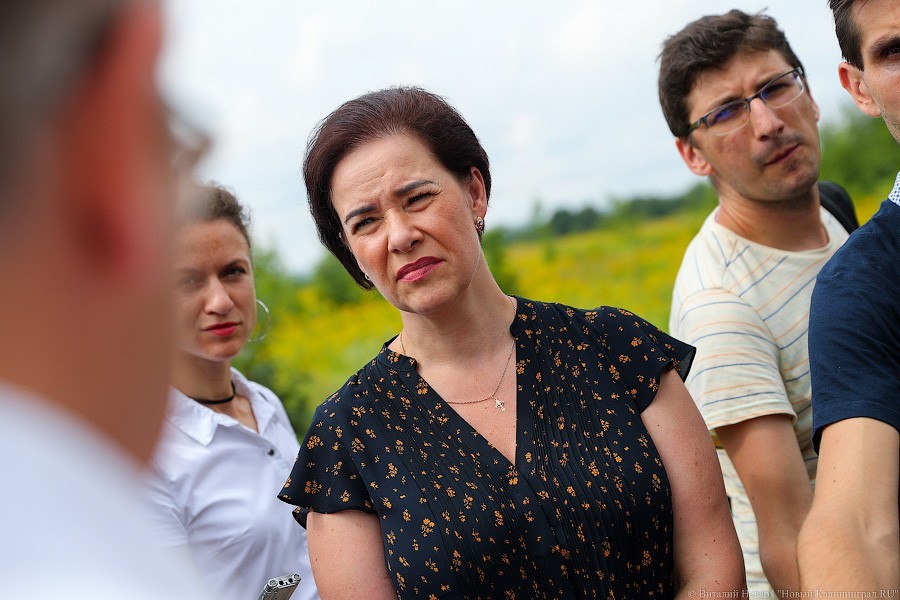 Власти хотят в следующем году отремонтировать участок ул. Киевской