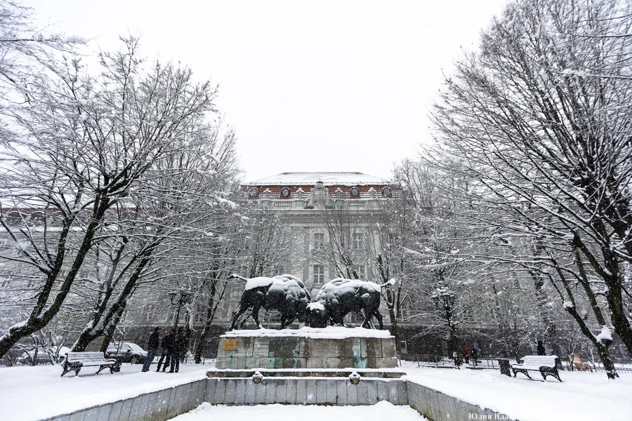 Синоптики рассказали, когда ждать самых сильных морозов с начала зимы