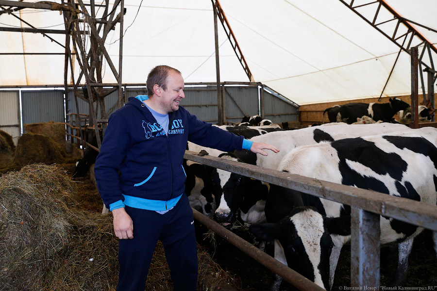 Картошка с молоком: как живут «лучшие начинающие фермеры России» из Славска