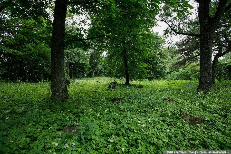 По следам Первой мировой: немецкий обелиск в память о русских воинах
