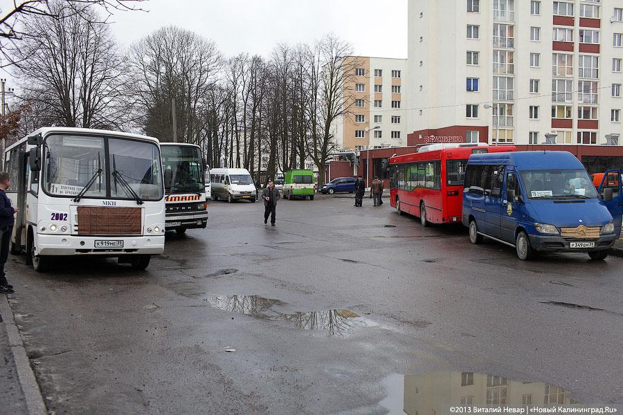 «Мутят что-то»: как долго в Калининграде будет ходить отмененный транспорт