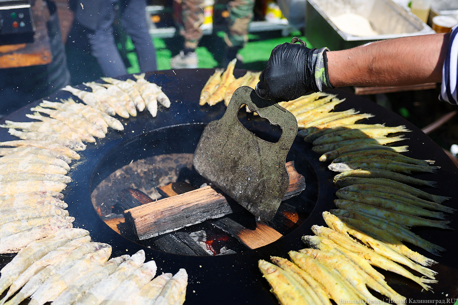 «Судя по всему, последний раз на этом месте»: что съесть на «Фиштивале» в Зеленоградске (фото)