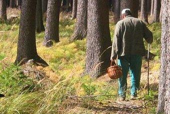 Спасатели 4 часа искали в лесу заблудившегося 26-летнего мужчину