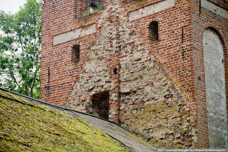 Легенды и лягушки: кирха в поселке Ново-Московское обрастает мхом и преданиями
