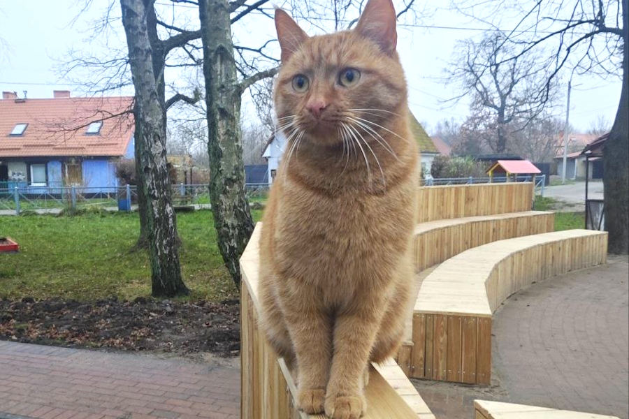 В Приморье завершают реконструкцию сквера (фото)