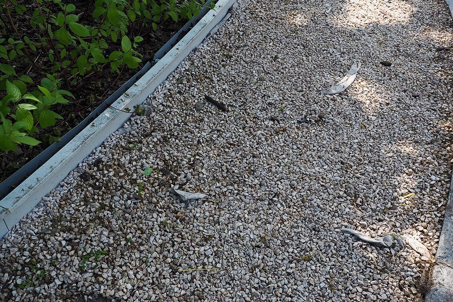 В Калининграде решили ремонтировать сквер с фонтаном спустя год после открытия (фото)