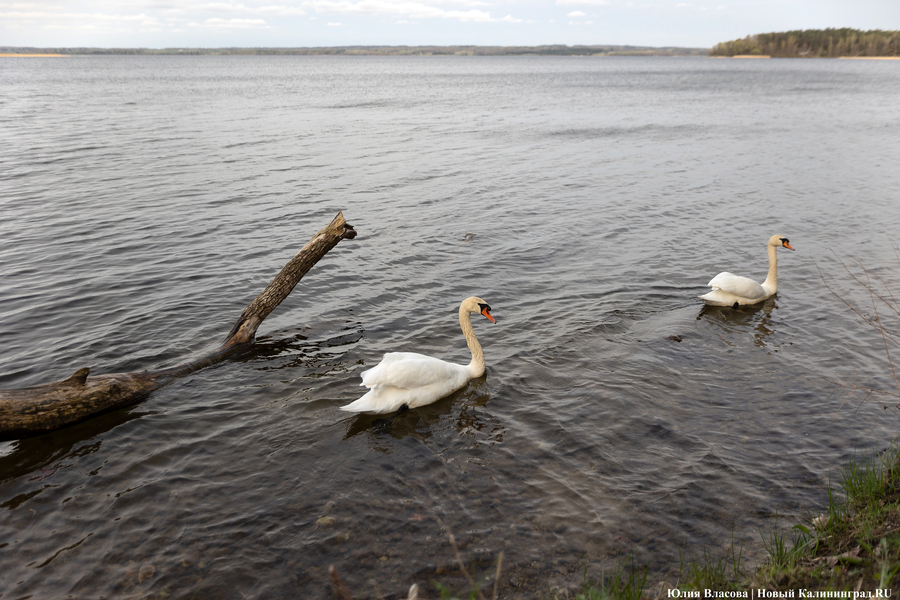Правительство выделило 160,8 млн на туринфраструктуру в нацпарке «Виштынецкий»