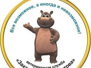 Ветслужба «Захаров и Фарафонтова»: есть ли спасение от пироплазмоза?