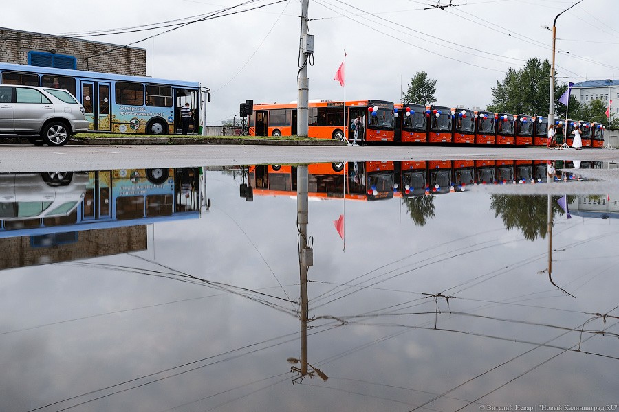 «Калининградгортранс» намерен за 109 млн рублей починить свои автобусы