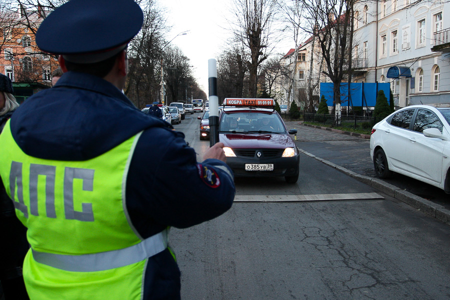 Дятлова: в Калининграде в 2017 году уберут все шумовые полосы