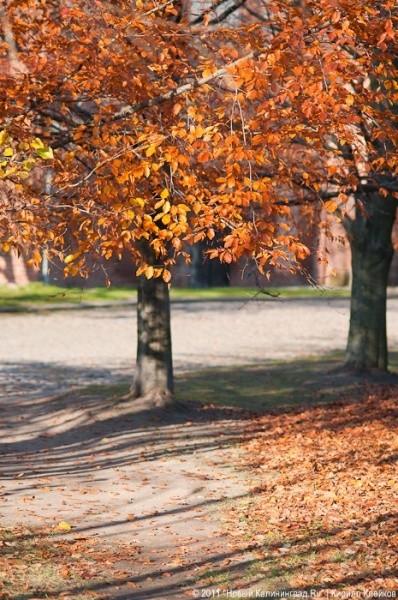 "11.11.11": фоторепортаж "Нового Калининграда.Ru"