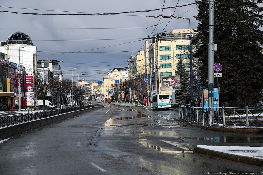 Как выглядел Калининград в первый день всеобщей самоизоляции (фото)
