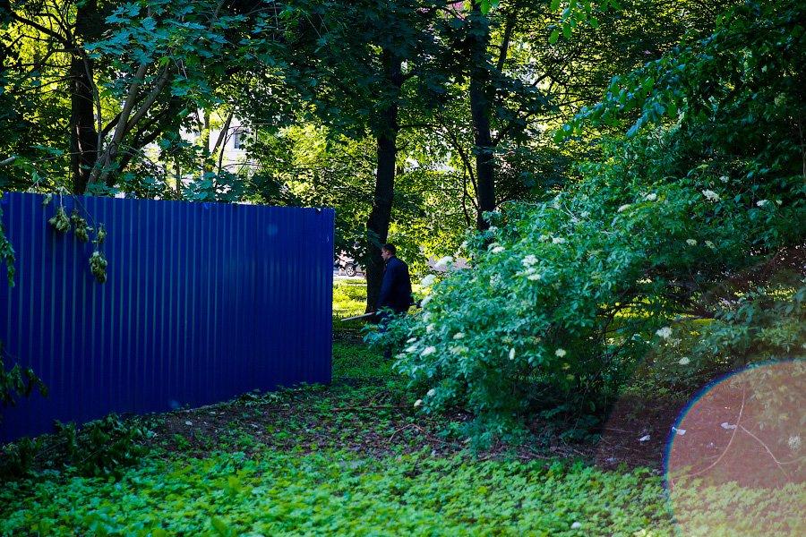 Все законно: власти Калининграда проиграли суд за сквер на улице Горького у прокуратуры