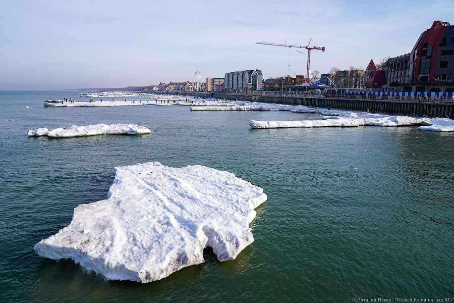 В Калининградской области массово гуляют по морскому льду, несмотря на запрет МЧС (фото)