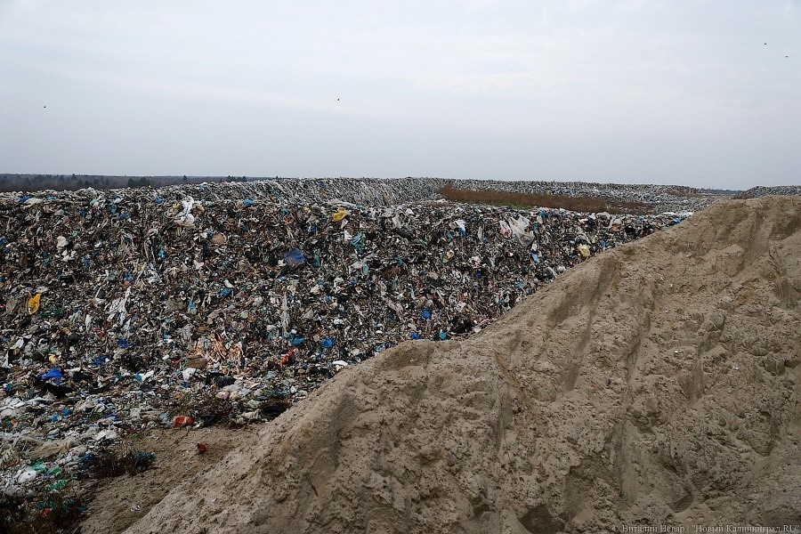 Министр окружающей среды Польши: наша страна стала мусорным полигоном