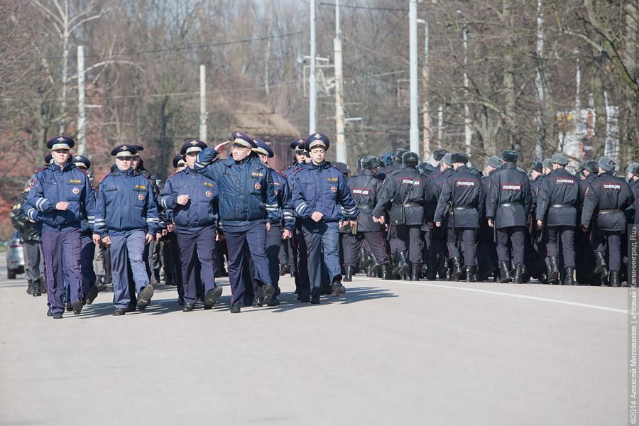 Смотр и развод: кто охраняет общественный порядок в Калининграде (фото)
