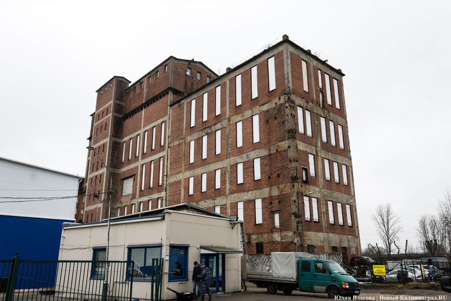 Постапокалиптический пейзаж: что происходит с территорией бывшего ЦБЗ-1 (фото)