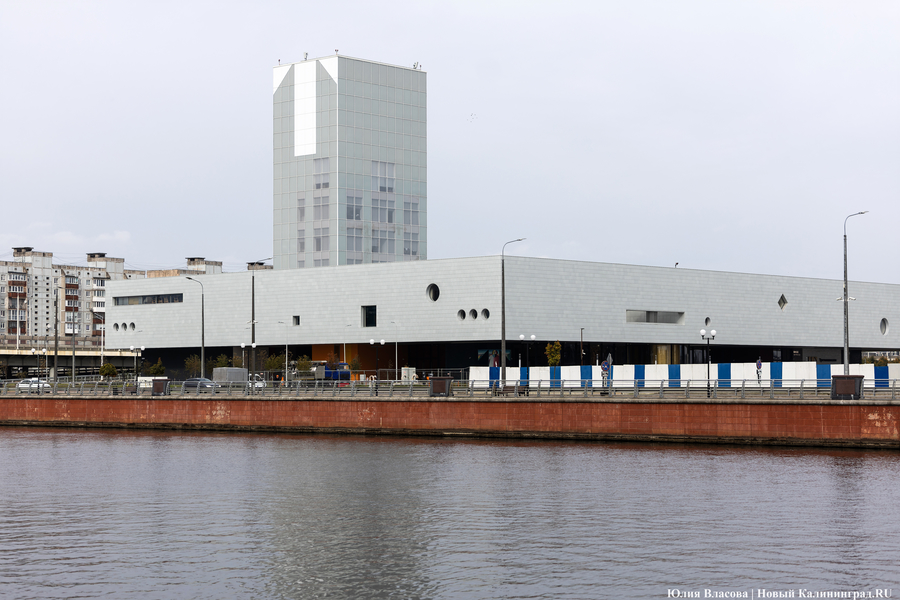 Фото: Юлия Власова / Новый Калининград 