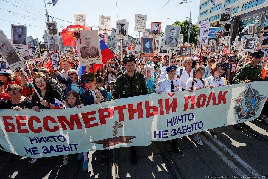 В Калининграде анонсировали виртуальное шествие «Бессмертного полка»