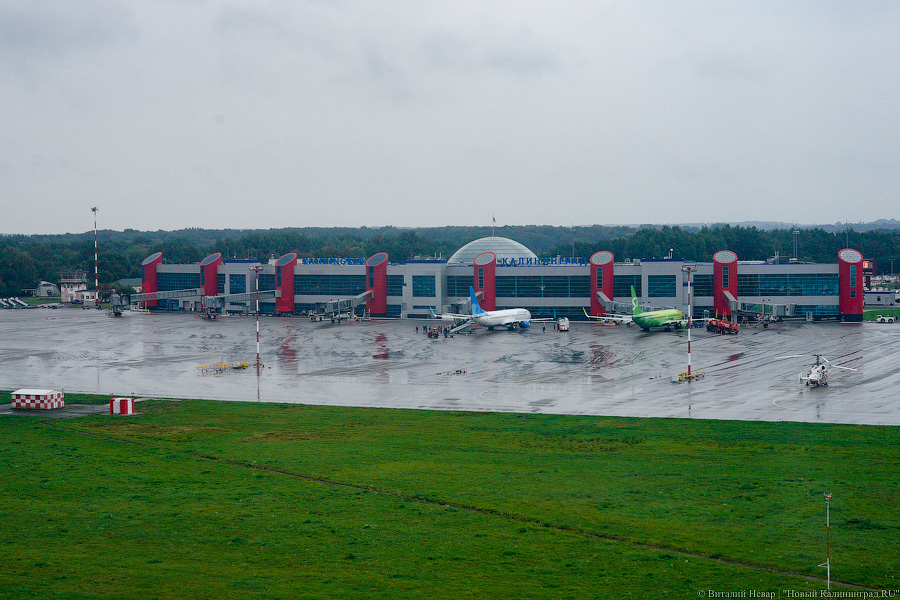 Прилетит вдруг волшебник: как голосовали на платформе «Д-6»