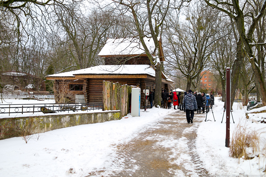 Проще — не всегда правильнее: в Калининградском зоопарке отремонтировали исторические вольеры (фото)