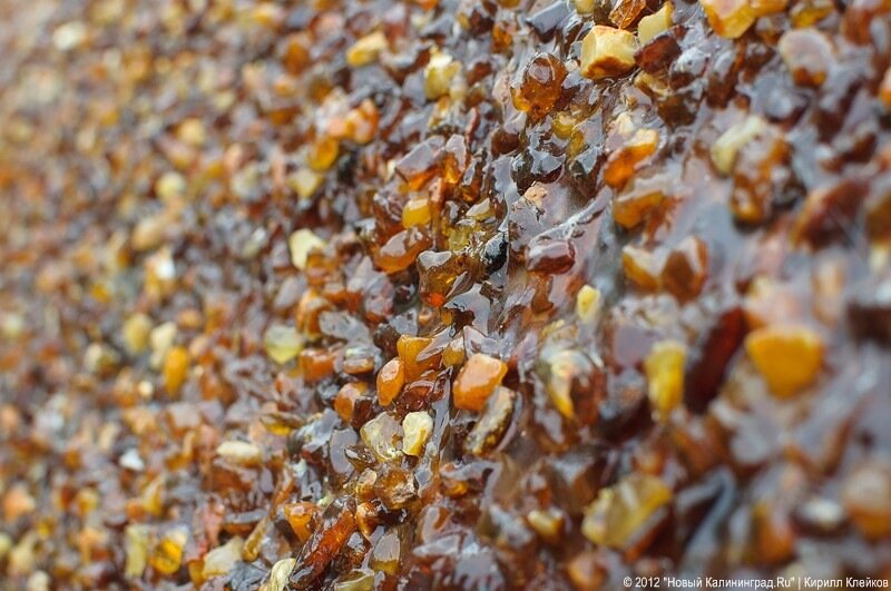 В Калининграде вынесли приговор по делу о незаконном обороте 14 тонн янтаря