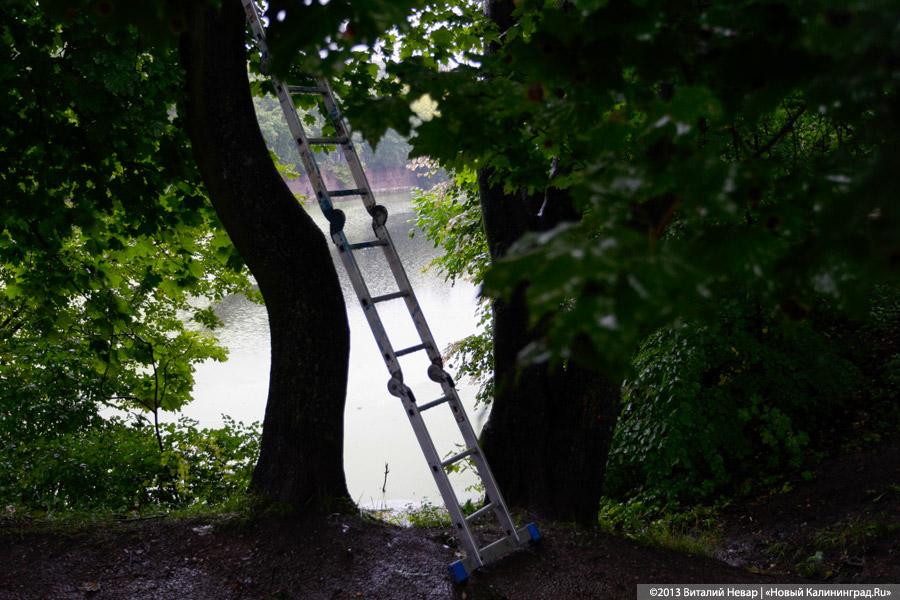 Куда уехал цирк: прогулка по Южному парку