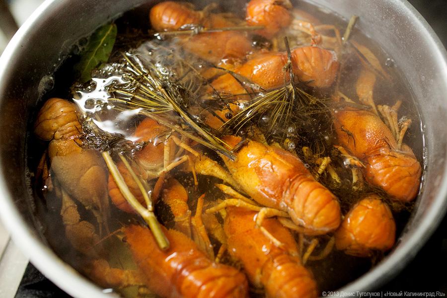 Где раки зимуют: владелец рачевни «Поплавок» Виталий Лозинский