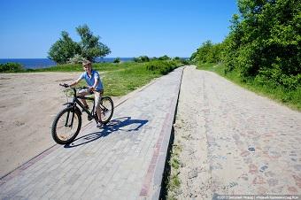 Власти планируют связать Куршскую и Балтийскую косы велодорожкой в 51 км