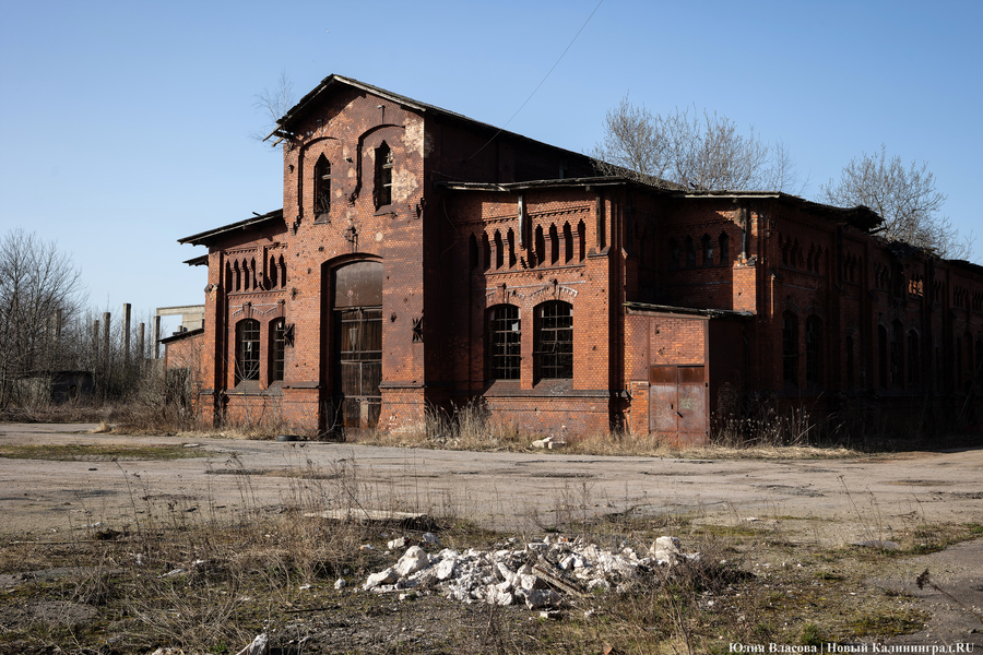 След Розенау: как выглядит заброшенный мясокомбинат на Аллее Смелых (фото)