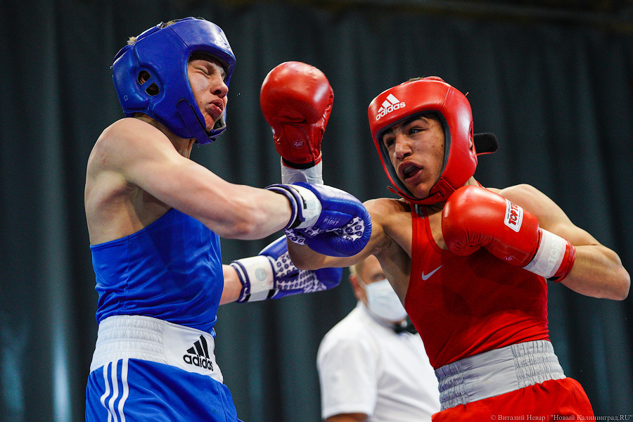 Очередной нокдаун: в Калининграде прошёл международный турнир по боксу «Янтарные перчатки»