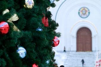 Силанов: городские елки будут установлены 20 декабря