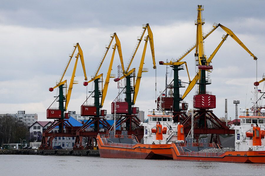В Литву с границы вернулось 11 тонн опалубки, в Мавританию — 28 тонн рыбной тушки