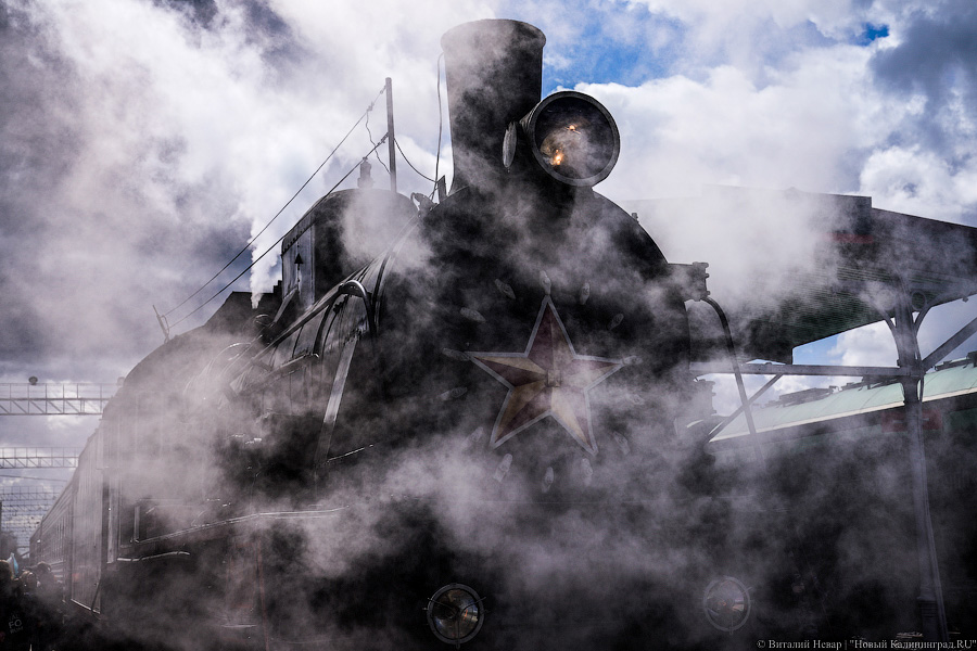 Фото: Виталий Невар / Новый Калининград