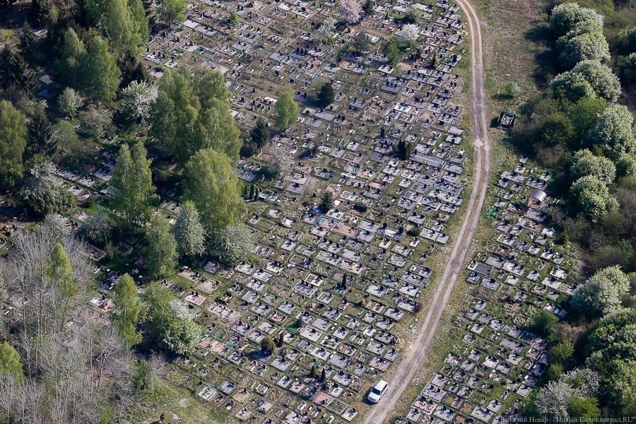 Росстат насчитал 188 смертей от COVID-19 в регионе в июле. Минздрав — в 9,4 раза меньше