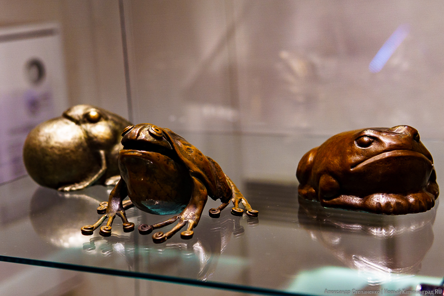 «Металлические метаморфозы»: в Музее янтаря открылась выставка выпускников «Мухи» (фото)