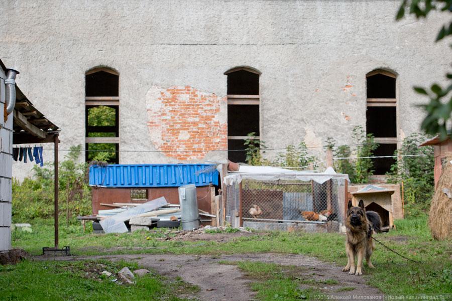 Кладбище домашних животных: что стало с кирхой XIV века в поселке Муромское