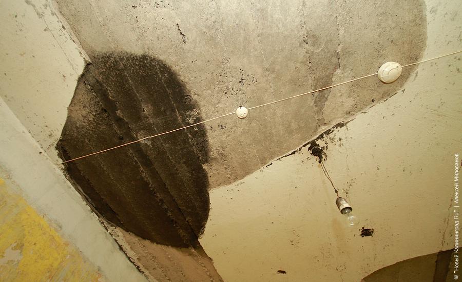 "Подстанция несуществующей страны": фоторепортаж "Нового Калининграда.Ru"