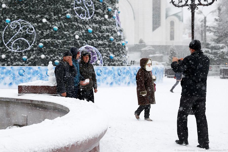 Белый снег, серый лёд: зима в Калининграде (фото)