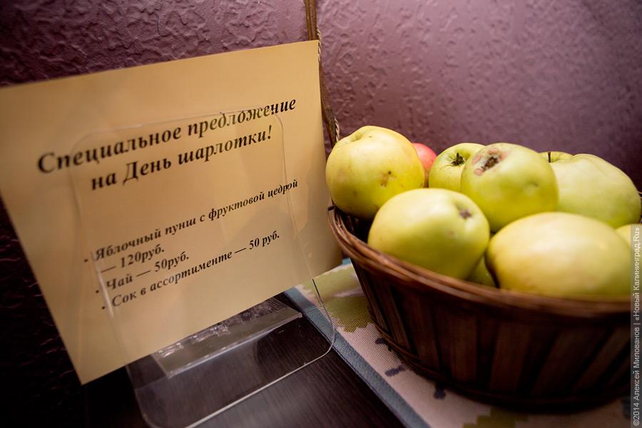 Спасу нет: как прошел благотворительный фестиваль шарлотки