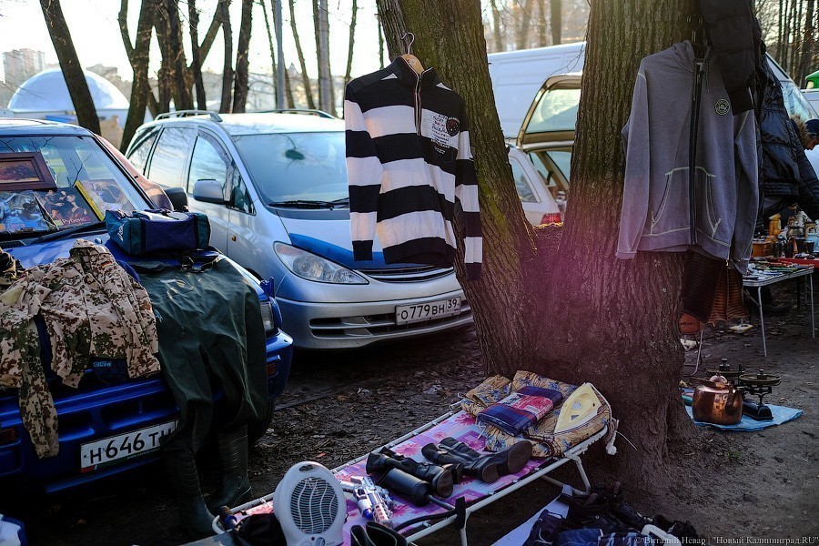 Созерцание и покой: в «Воротах» презентовали концепцию парка за башней Врангеля