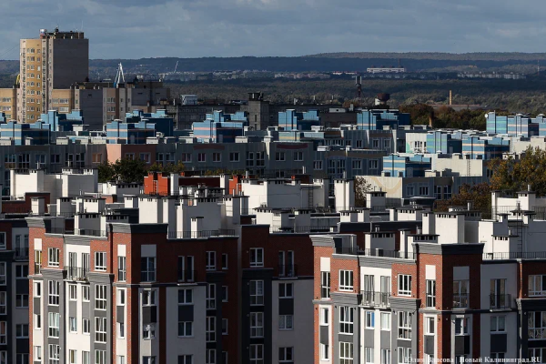 Предложение долгосрочной аренды квартир в Калининграде сократилось на 42%