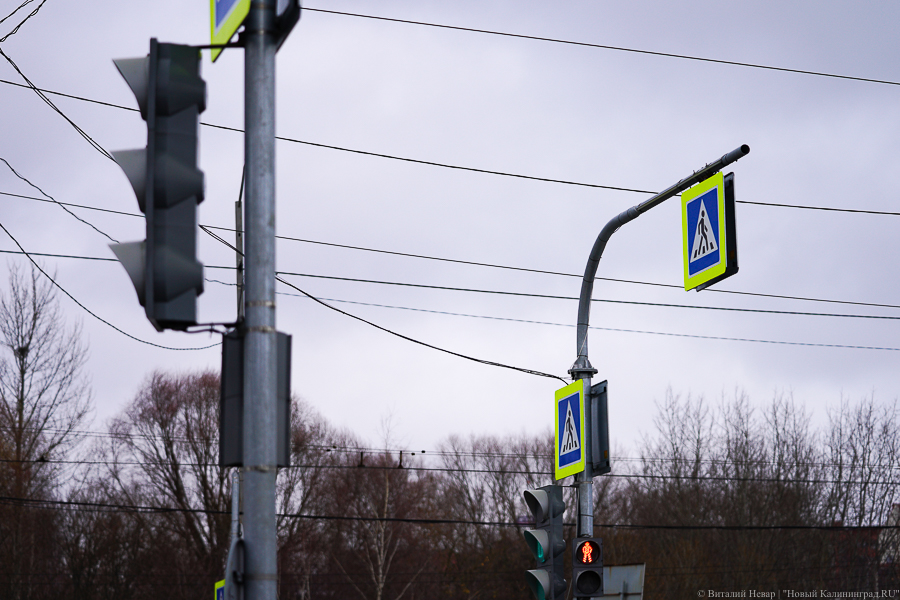 Светофоры и шумовые полосы: Калининград потратит 186 млн. рублей на дорожную безопасность