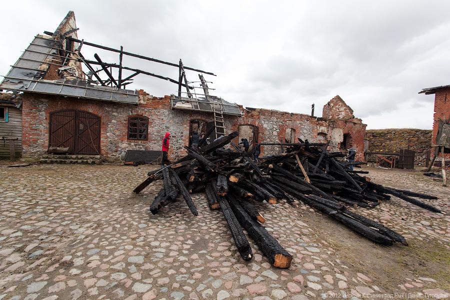«Шаакен, волонтеры и кот Воровай»: фоторепортаж «Нового Калининграда.Ru»