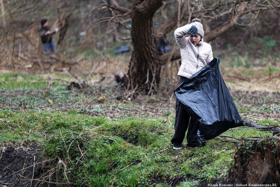 «Коммунальный Новый год»: как в Калининграде прошёл общегородской субботник