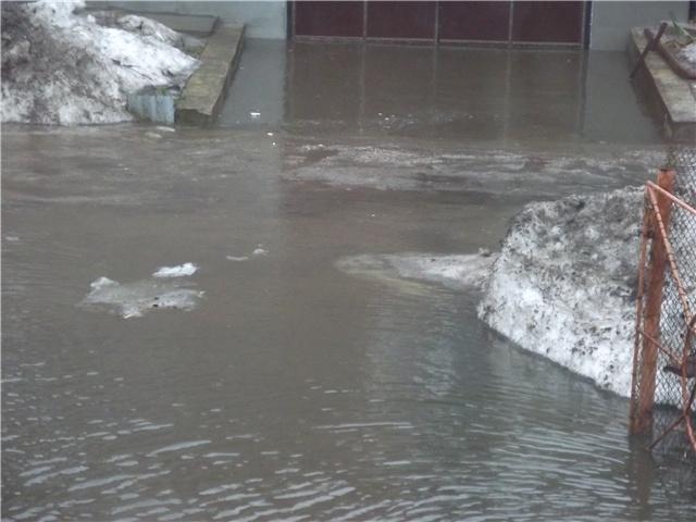 "Большая вода": фоторепортаж читателей "Нового Калининграда.Ru"