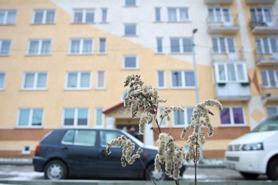 «Я уже ничего не боюсь»: жильцы спорного дома на ул. Товарной ждут окончания следствия