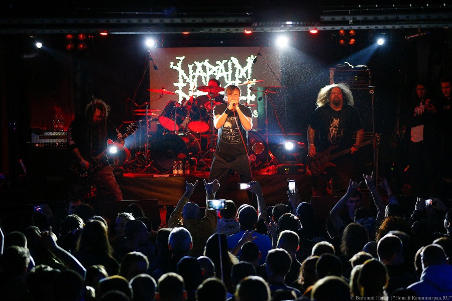 Мощно и яростно: в Калининграде выступили британцы Napalm Death