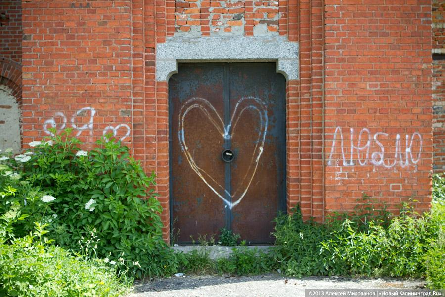 Осколки и ласточки: частично восстановленная кирха в Большой Поляне заброшена РПЦ